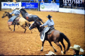 Holly, pick-up "man", during the Bronc Riding at a rodeo.